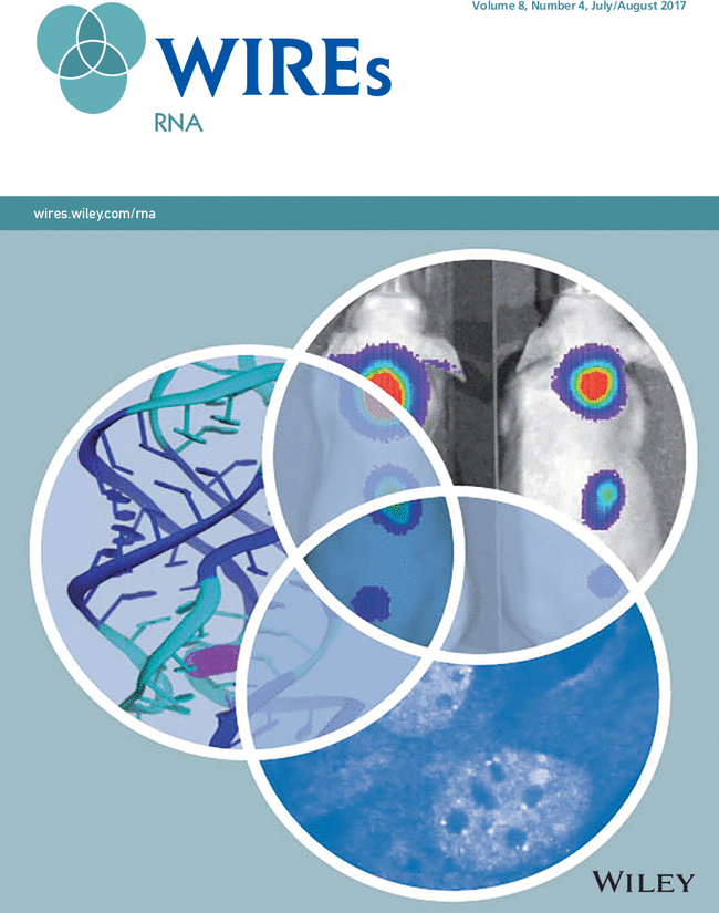 Ustianenko, D., Weyn-Vanhentenryck, S.M., Zhang, C. 2017. Microexons: discovery, regulation, and function. WIREs RNA. e1418. doi: 10.1002/wrna.1418 (review).